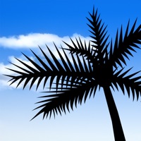 Chambray Shirt In Vintage Indigo