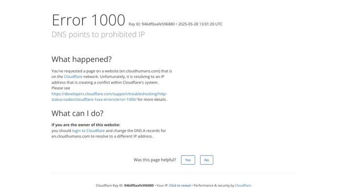 DNS points to prohibited IP